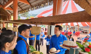 Tuổi trẻ Việt Nam chung tay xây dựng nông thôn mới