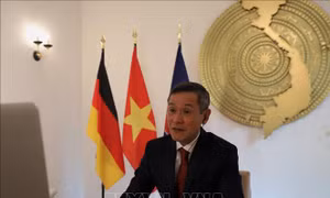 Thúc đẩy hệ sinh thái khởi nghiệp thông qua năng lực công nghệ thông tin tại Việt Nam