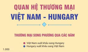 Quan hệ thương mại Việt Nam - Hungary