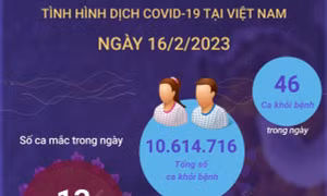 Ngày 16/2/2023: Có 13 ca COVID-19 mới, 46 F0 khỏi bệnh