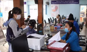 Triển khai các nhiệm vụ về đẩy mạnh phân quyền, phân cấp