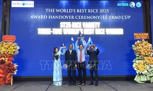 Trao Cúp 'Gạo ngon nhất thế giới' năm 2025 cho gạo ST25