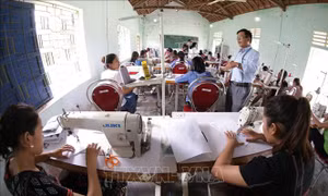 Cho phép các trường nghệ thuật giảng dạy chương trình GDTX cho khóa 2021-2022 trở về trước