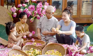 Nghề ướp trà sen Quảng An (Tây Hồ) trở thành Di sản Văn hóa phi vật thể quốc gia