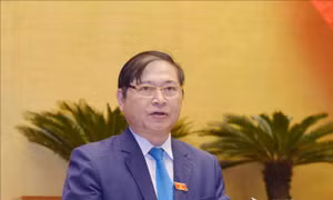 Nông dân 'mạnh ai ấy làm', tình trạng 'được mùa, mất giá' thường xuyên xảy ra