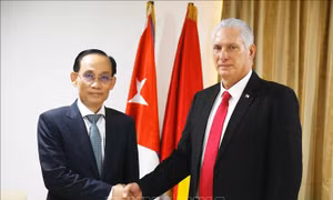Việt Nam và Cuba thúc đẩy hợp tác toàn diện trong giai đoạn phát triển mới