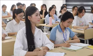 Từ tình yêu quê hương đến trách nhiệm của người trẻ