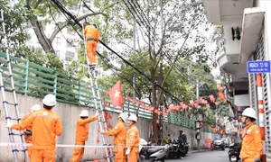 Hà Nội đồng loạt 'làm đẹp' lưới điện trước Tết