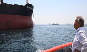 Liên hợp quốc bổ nhiệm điều phối viên Sáng kiến ngũ cốc Biển Đen