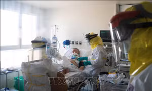 Tỷ lệ tử vong do COVID-19 trong làn sóng thứ hai giảm so với làn sóng thứ nhất