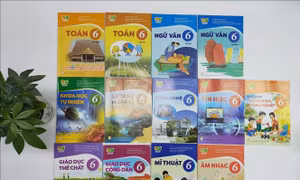 TP Hồ Chí Minh: Đảm bảo tiến độ và quy trình tổ chức chọn sách giáo khoa