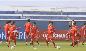 Asian Cup 2019: Cuộc tỉ thí giữa những bậc thầy chiến thuật