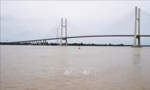 Lũ năm nay ở Đồng Tháp sẽ cao hơn năm 2023