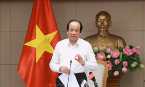 Chuẩn bị khai trương Hệ thống thông tin báo cáo Chính phủ vào ngày 13/3