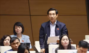 Quốc hội thảo luận về việc đấu giá biển số xe ô tô