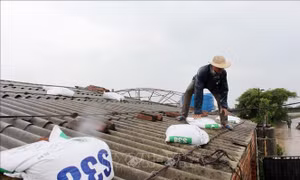 Hưng Yên: Gấp rút di dời người dân ở khu vực ảnh hưởng trực tiếp của bão số 3