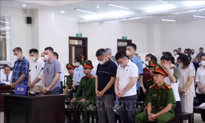 Hai cựu Cục trưởng Cục An toàn thực phẩm được đề nghị giảm án tù vì có tình tiết mới