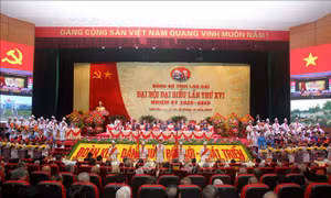 Sớm xây dựng Lào Cai trở thành trung tâm kinh tế, đối ngoại vùng Tây Bắc