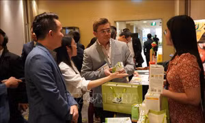 Kết nối tỉnh Thái Bình với các đối tác Australia 