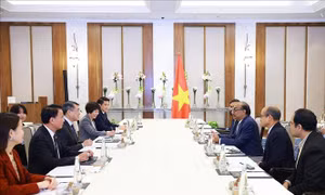 Thủ tướng Lê Minh Hưng tiếp lãnh đạo một số tập đoàn của Ấn Độ