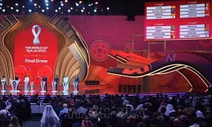WORLD CUP 2022: 'Cơn lốc màu Da Cam' chiếm ưu thế ở bảng A
