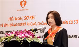 Việt Nam nỗ lực xóa bỏ bạo lực đối với phụ nữ và trẻ em
