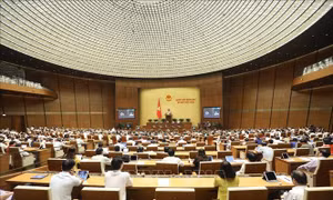 Ngày 16/6, Quốc hội biểu quyết Luật Thanh niên (sửa đổi) và Luật Hòa giải, đối thoại tại Tòa án
