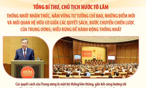 Tổng Bí thư, Chủ tịch nước Tô Lâm: Các quyết sách của Trung ương là một hệ thống liên thông, gắn kết