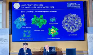 Nobel 2024: Các protein nhân tạo - Chìa khóa cho tương lai