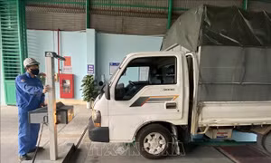 Hỗ trợ tìm lịch trống cho xe vận tải thực hiện đăng kiểm