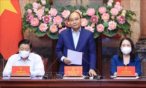 Chủ tịch nước: Bảo đảm tiến độ, chất lượng các dự thảo của Đề án xây dựng Nhà nước pháp quyền