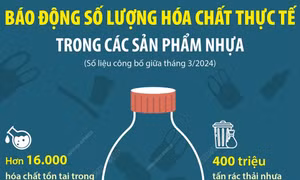 Báo động số lượng hóa chất thực tế trong các sản phẩm nhựa