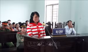 Gia Lai: Đối tượng lợi dụng quyền tự do dân chủ xâm phạm lợi ích Nhà nước lĩnh án 2 năm 6 tháng tù giam