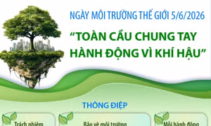 Ngày Môi trường thế giới 5/6/2026: Toàn cầu chung tay hành động vì khí hậu
