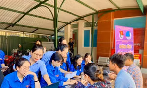 Đầu tư vào kỹ năng cho thanh niên để hướng tới kinh tế xanh bền vững