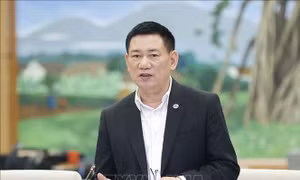 Giám sát kinh doanh bảo hiểm, casino, trò chơi điện tử có thưởng
