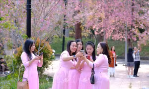 Thăm giảng đường 'đẹp không góc chết' ngay lòng Đà Lạt
