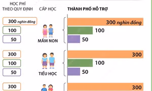 Hải Phòng miễn học phí 100% cho học sinh trong năm học 2023-2024