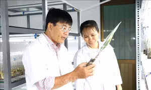 Tạo sức bật cho hệ sinh thái đổi mới sáng tạo