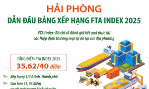 Hải Phòng dẫn đầu bảng xếp hạng FTA Index 2025