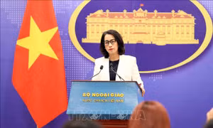 Việt Nam đề nghị các bên liên quan thực hiện nghiêm túc về ứng xử ở Biển Đông
