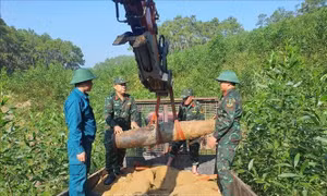 Nghệ An: Hủy nổ thành công quả bom nặng 350kg còn sót lại sau chiến tranh