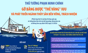 Thủ tướng Phạm Minh Chính: Gỡ bằng được 'thẻ vàng' IUU và phát triển ngành thủy sản bền vững, trách nhiệm