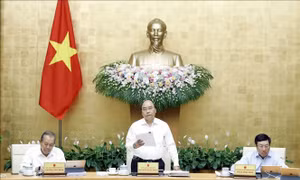 Thủ tướng: Kinh tế vẫn duy trì tốc độ tăng trưởng trên tất cả các lĩnh vực