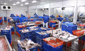 Xuất khẩu nông, lâm, thủy sản tăng trên 14%