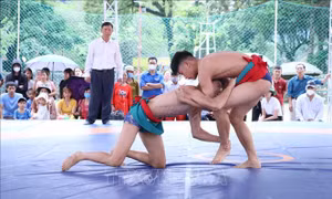 Gần 100 vận động viên tham gia Giải Vật dân tộc toàn quốc Cúp Hoa Lư 