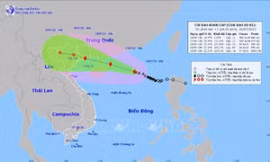 Quảng Ninh hoàn thành đưa người từ các khu nuôi thủy sản lên bờ trước 16 giờ ngày 17/7