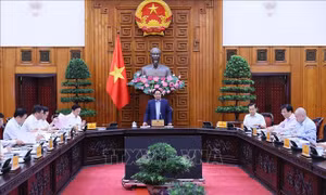 Thủ tướng chủ trì họp Thường trực Chính phủ về cung ứng điện cho sản xuất, tiêu dùng