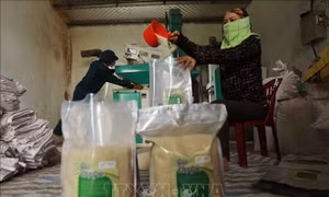 Hướng mới xây dựng và phát triển thương hiệu OCOP