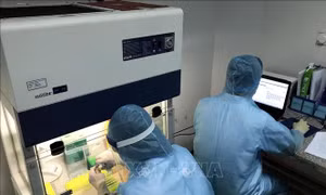 Tất cả các trường hợp F2 tại Bệnh viện Ung bướu Nghệ An đều âm tính